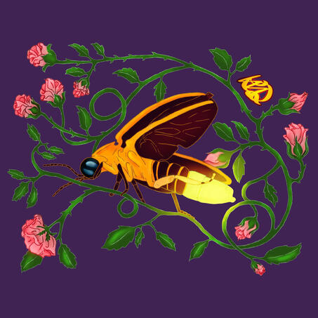 'A Firefly Amongst Roses (TWK by Tahereh Mafi)' APR 2022
